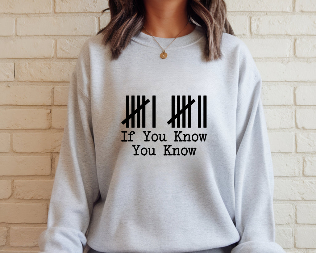 Viral "67" Tally Marks – IYKYK Trendy Sweatshirt
