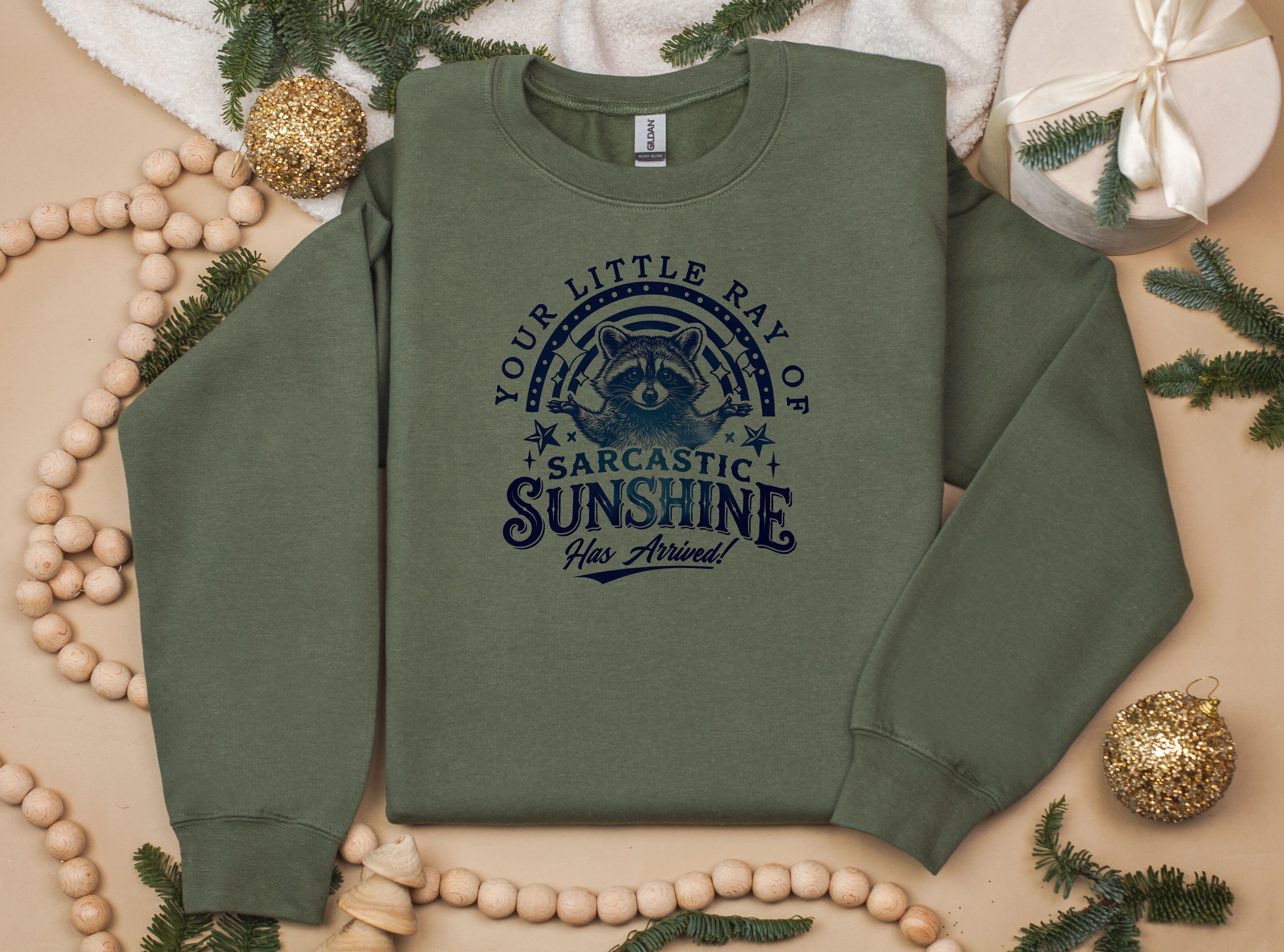 Your Little Ray of Sarcastic Sunshine Sweatshirt